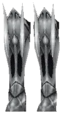 Steel Plate Boots