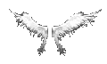 [Elite] Butterfly Wings (0) +15