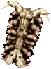 Skull Shield +1