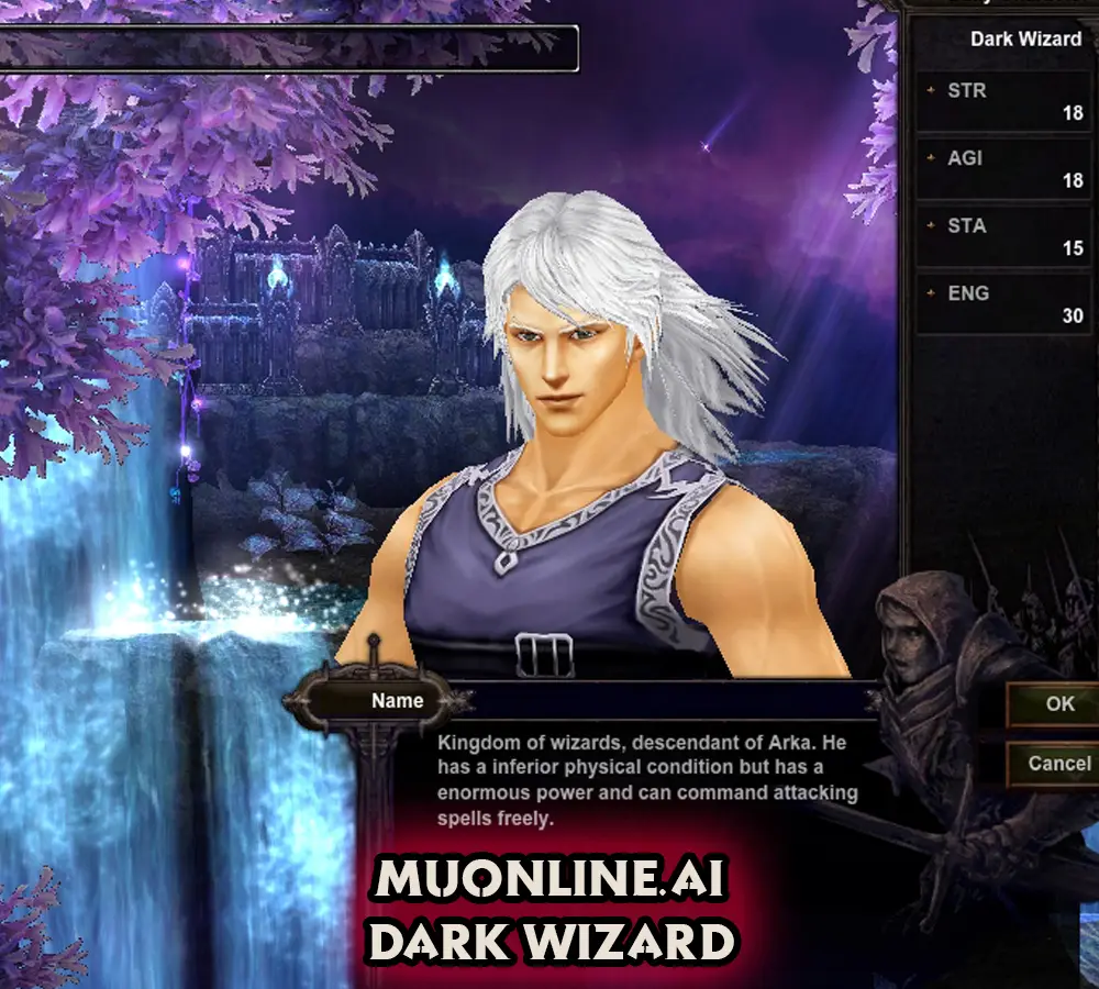 Mu Online Dark Wizard
