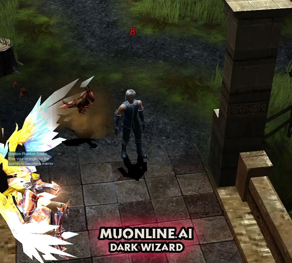 Dark Wizard 1st Evolution