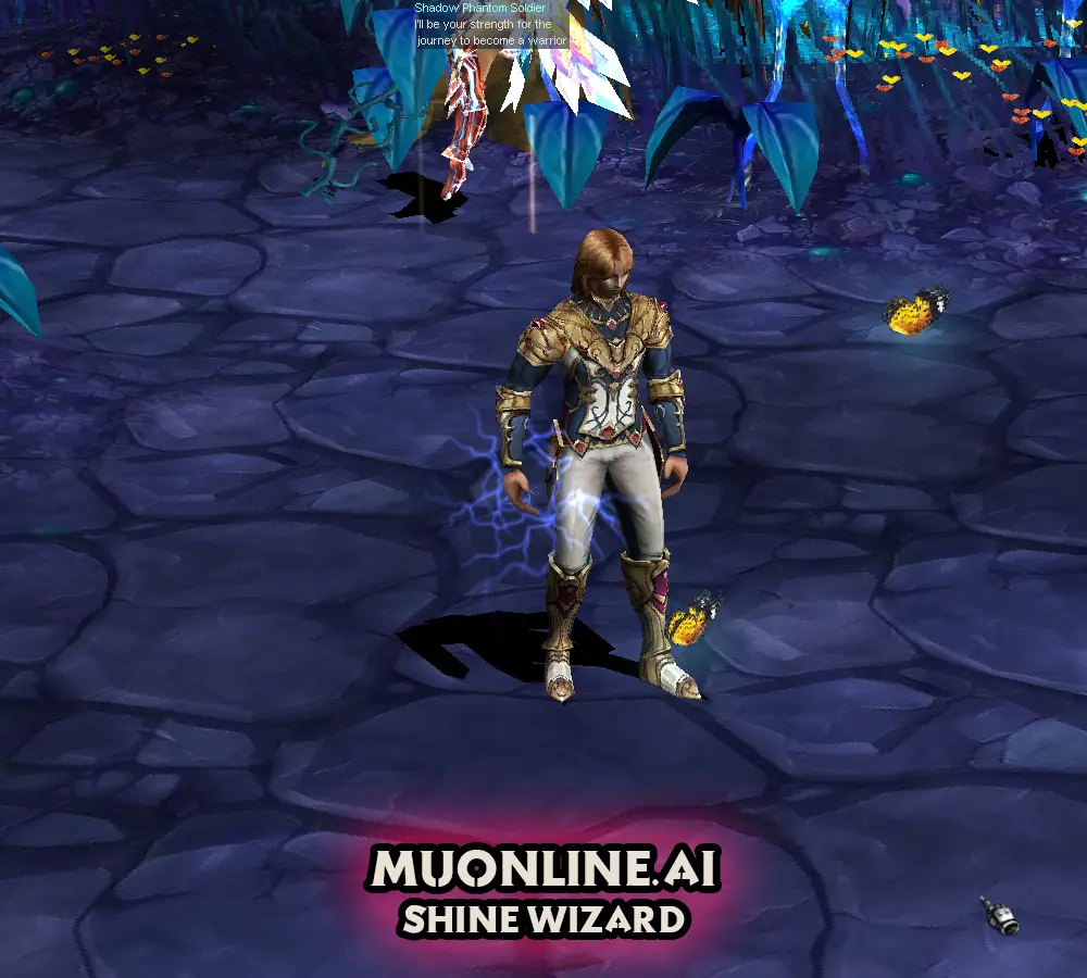 Mu Online Shine Wizard